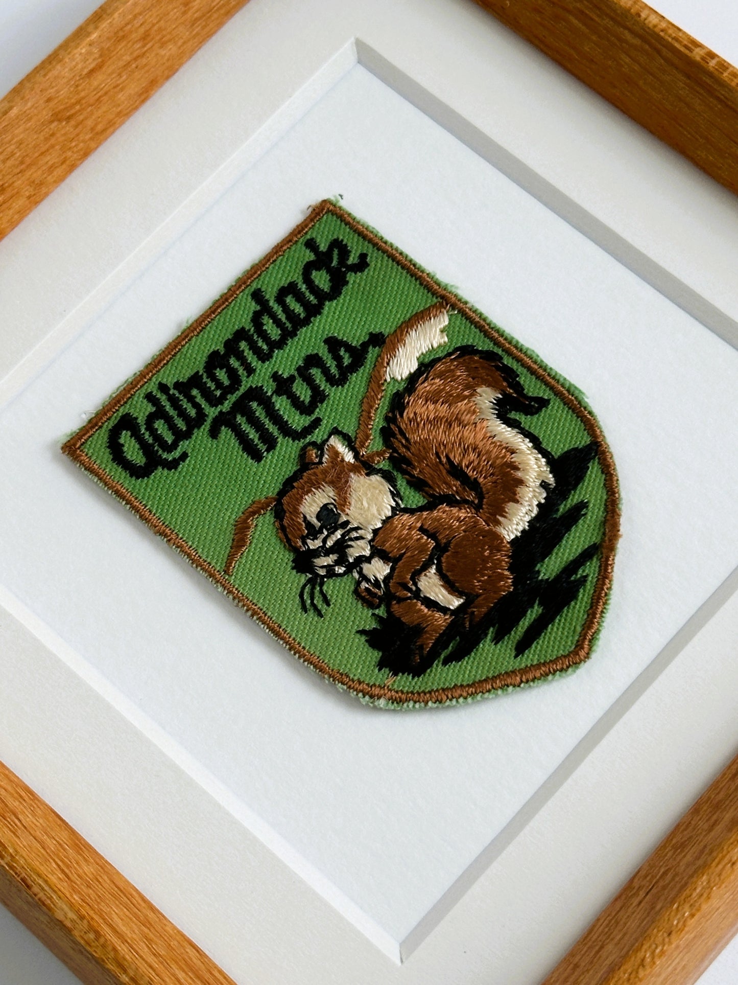 New York Adirondack Mountains Squirrel Vintage Framed Travel Patch