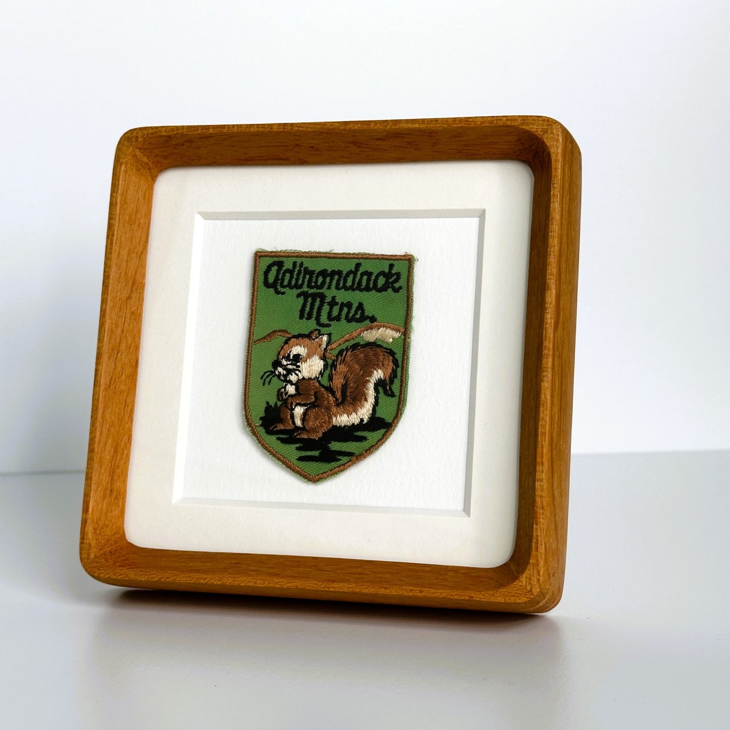 New York Adirondack Mountains Squirrel Vintage Framed Travel Patch