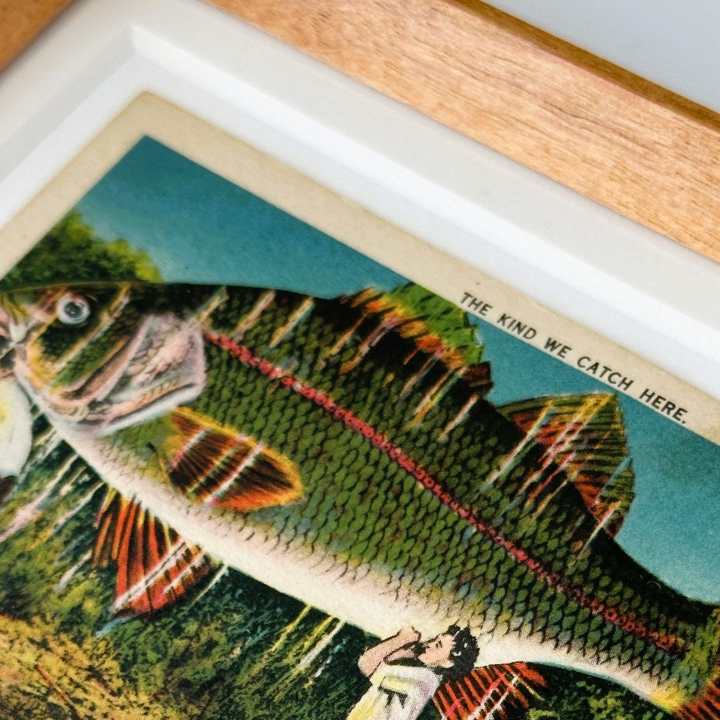 Alabama Orange Beach Fishing Vintage Linen Postcard Wood Framed