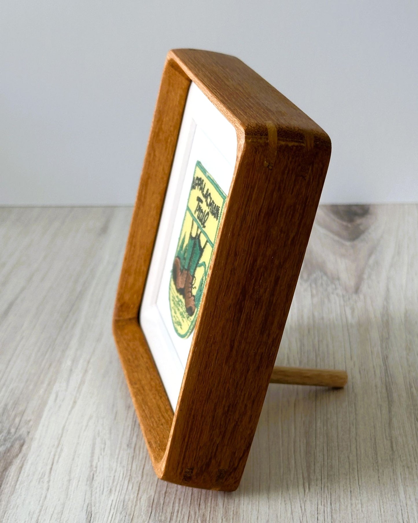 Appalachian Trail Hiking Boots Georgia to Maine Vintage Travel Patch Framed