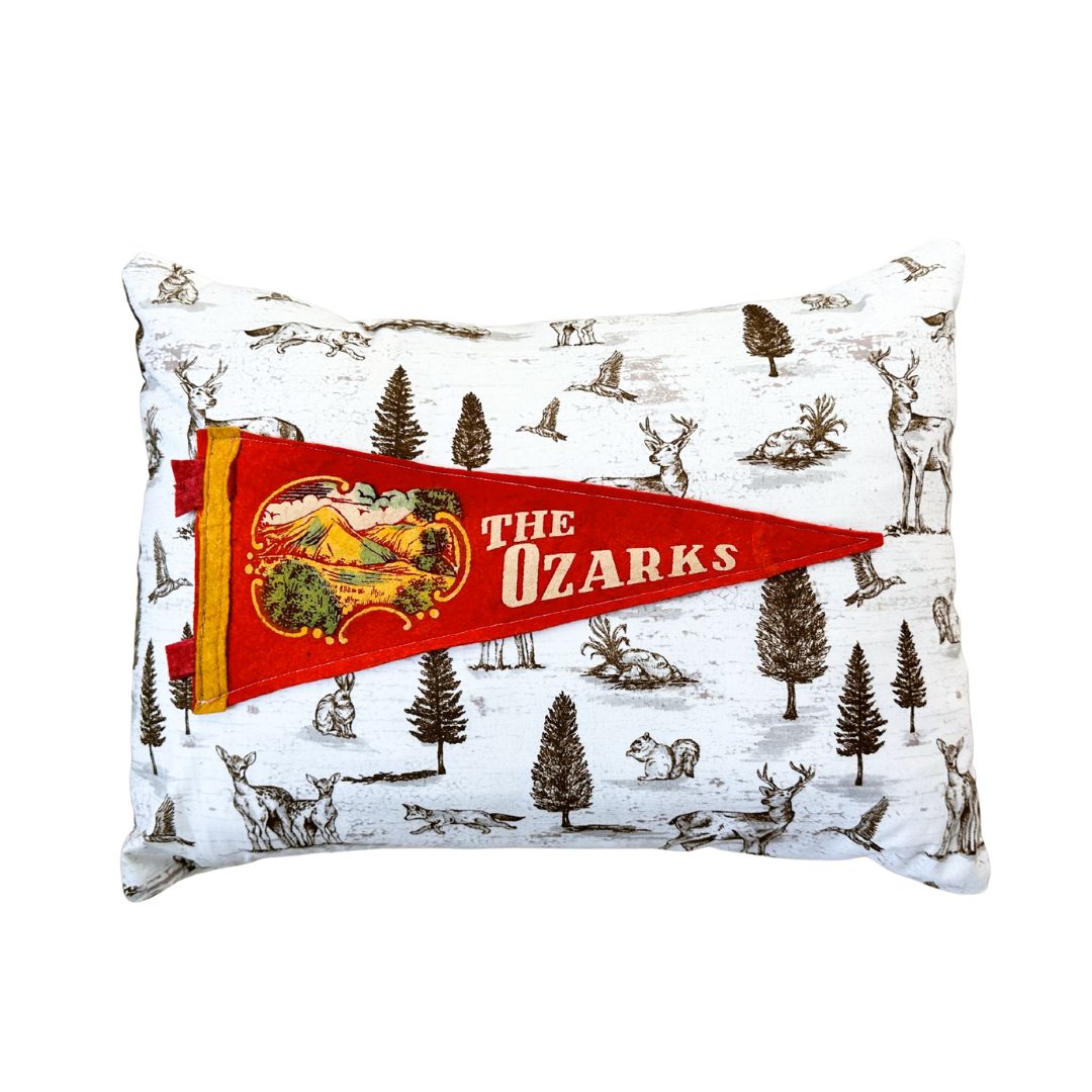 Arkansas Missouri Oklahoma Kansas THE OZARKS Vintage Red Pennant on New Woodland Fabric