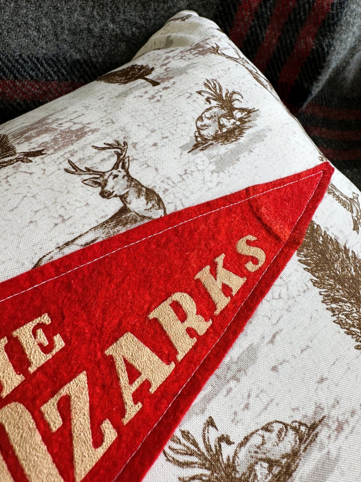 Arkansas Missouri Oklahoma Kansas THE OZARKS Vintage Red Pennant on New Woodland Fabric