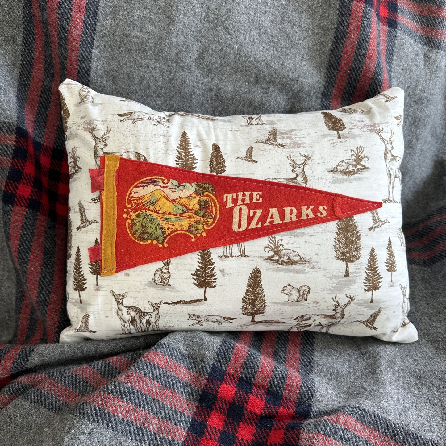 Arkansas Missouri Oklahoma Kansas THE OZARKS Vintage Red Pennant on New Woodland Fabric
