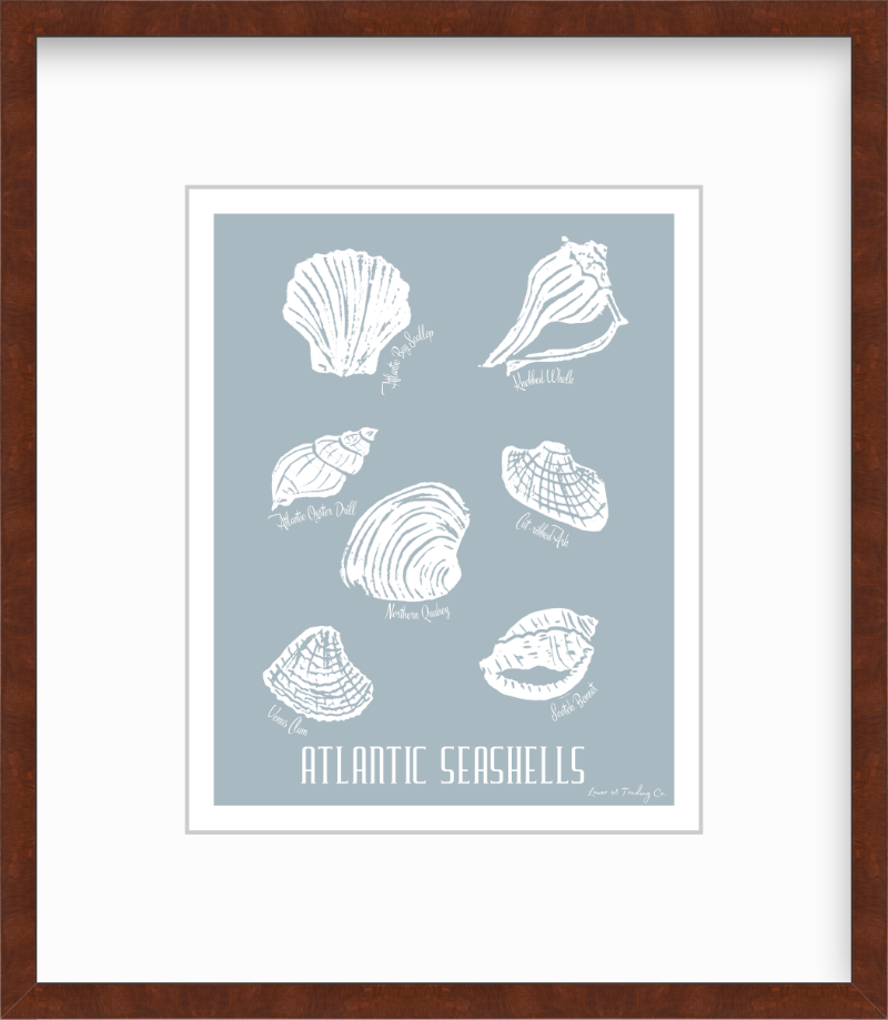 Atlantic Seashells Block Print by Nikki Degn Giclee Art Print