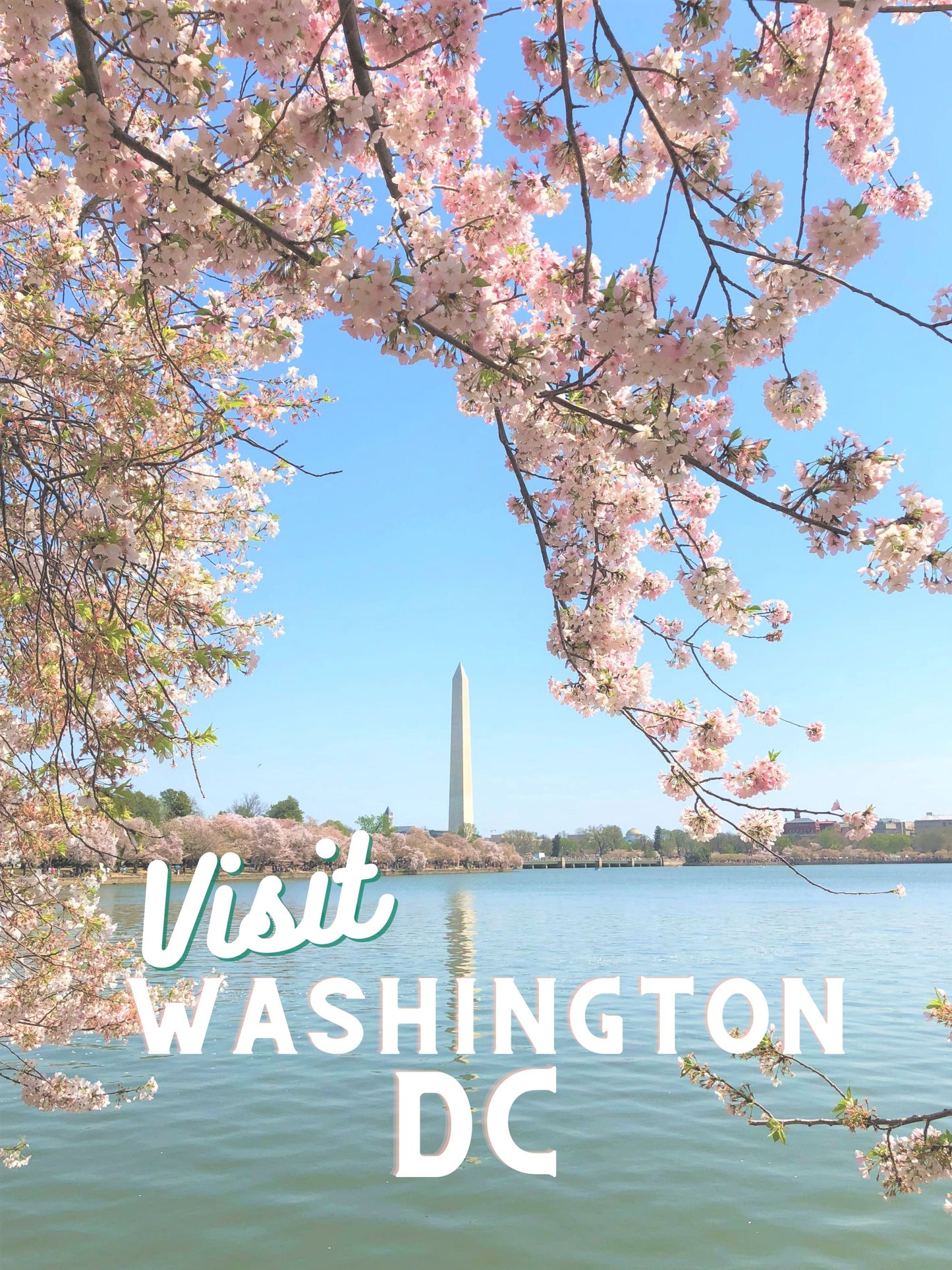 DC Cherry Blossoms Tidal Basin Washington Monument DC Giclee Travel Print