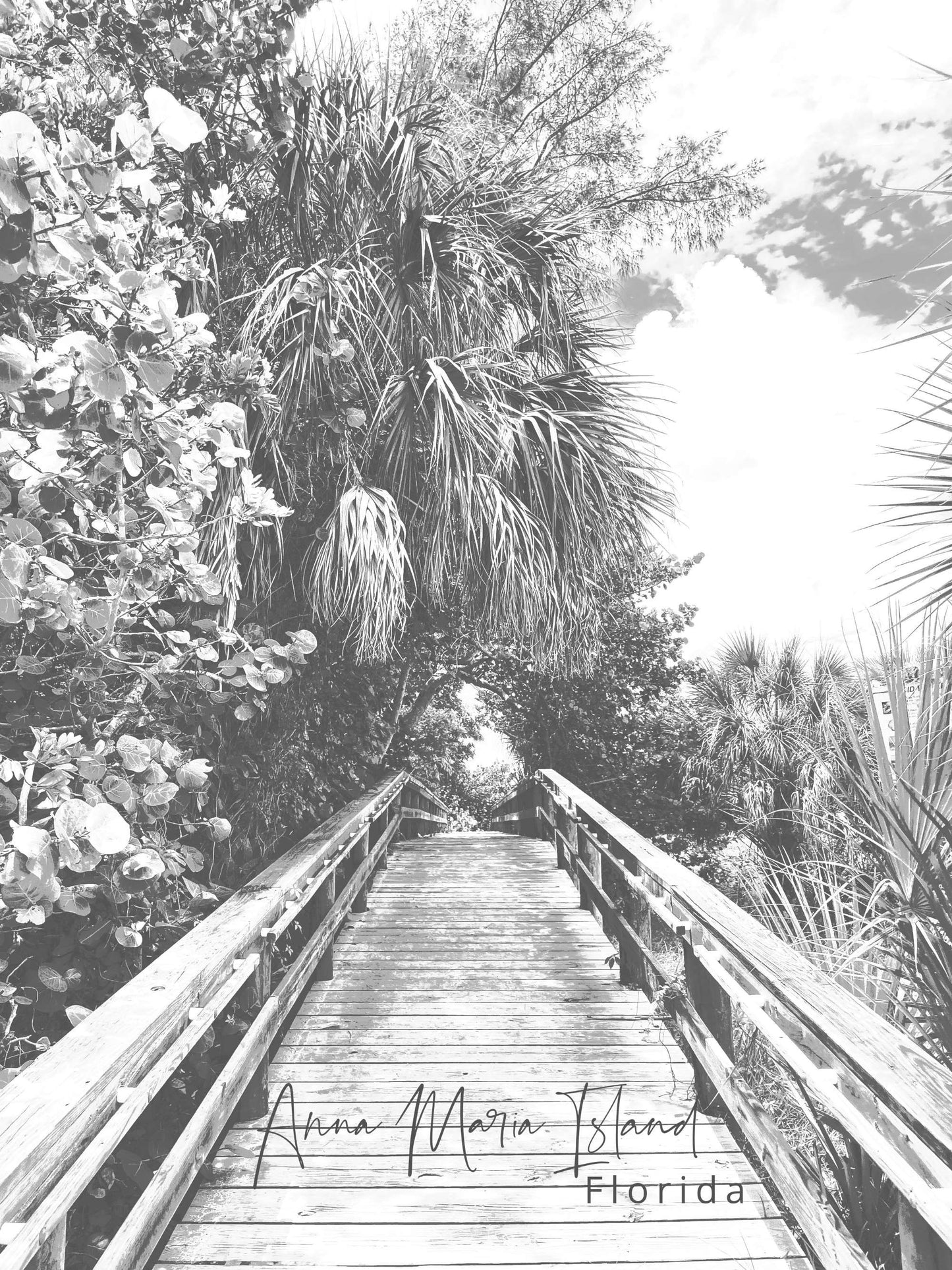 Florida Anna Maria Island Beach Walkway Giclee Travel Print