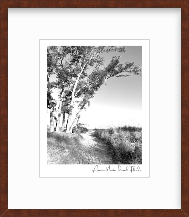Florida Anna Maria Island Coquina Beach Path Giclee Travel Print