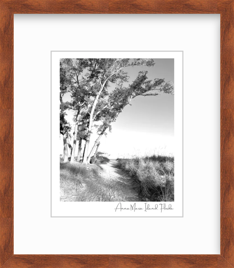 Florida Anna Maria Island Coquina Beach Path Giclee Travel Print