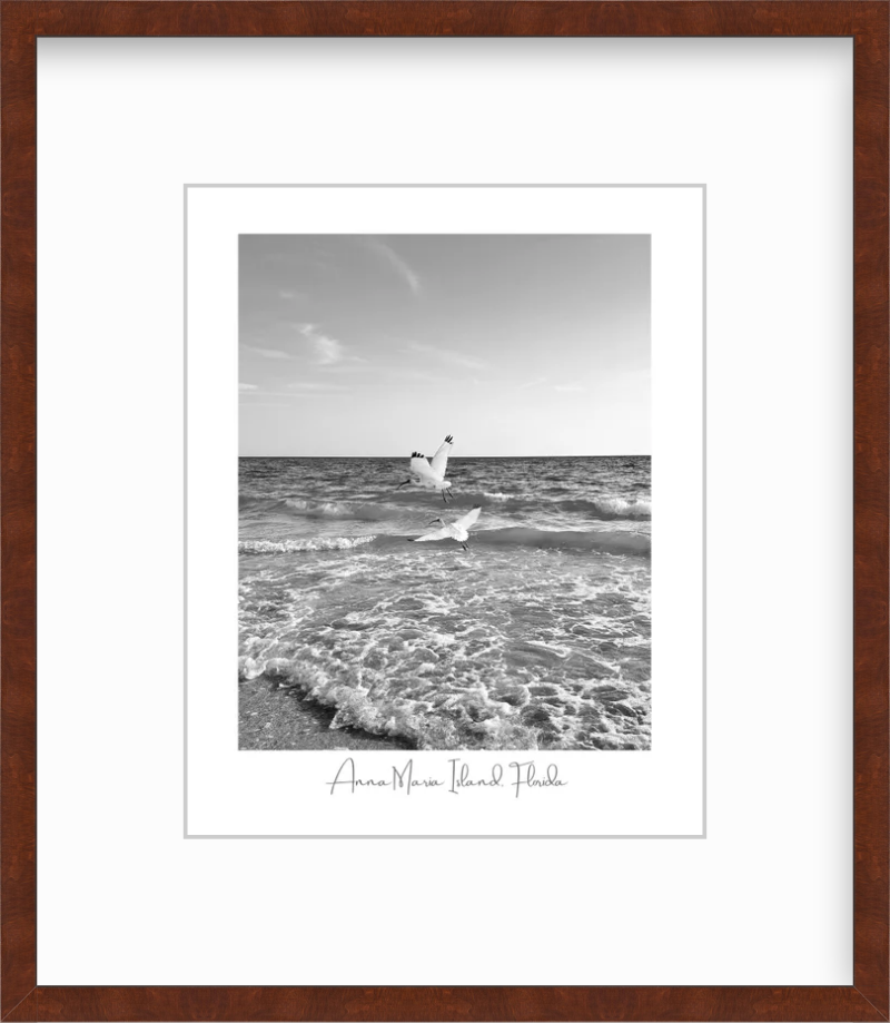 Florida Anna Maria Island White Ibis Shorebirds Giclee Travel Print