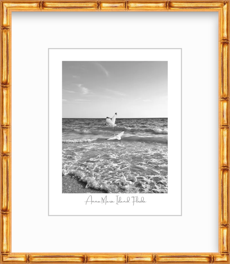 Florida Anna Maria Island White Ibis Shorebirds Giclee Travel Print