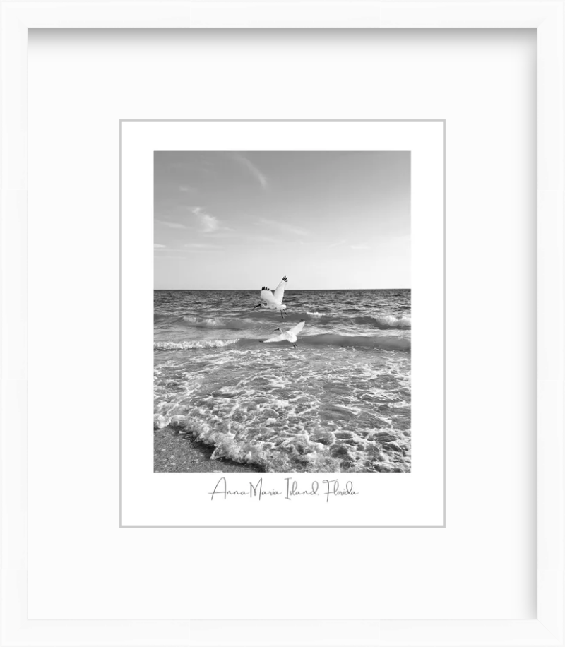 Florida Anna Maria Island White Ibis Shorebirds Giclee Travel Print