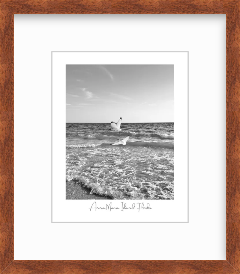Florida Anna Maria Island White Ibis Shorebirds Giclee Travel Print