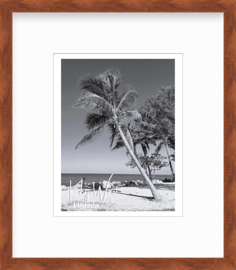 Florida Key West Fort Zachary Taylor State Park Palm Tree Views Giclee Travel Print