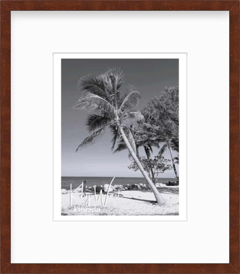 Florida Key West Fort Zachary Taylor State Park Palm Tree Views Giclee Travel Print