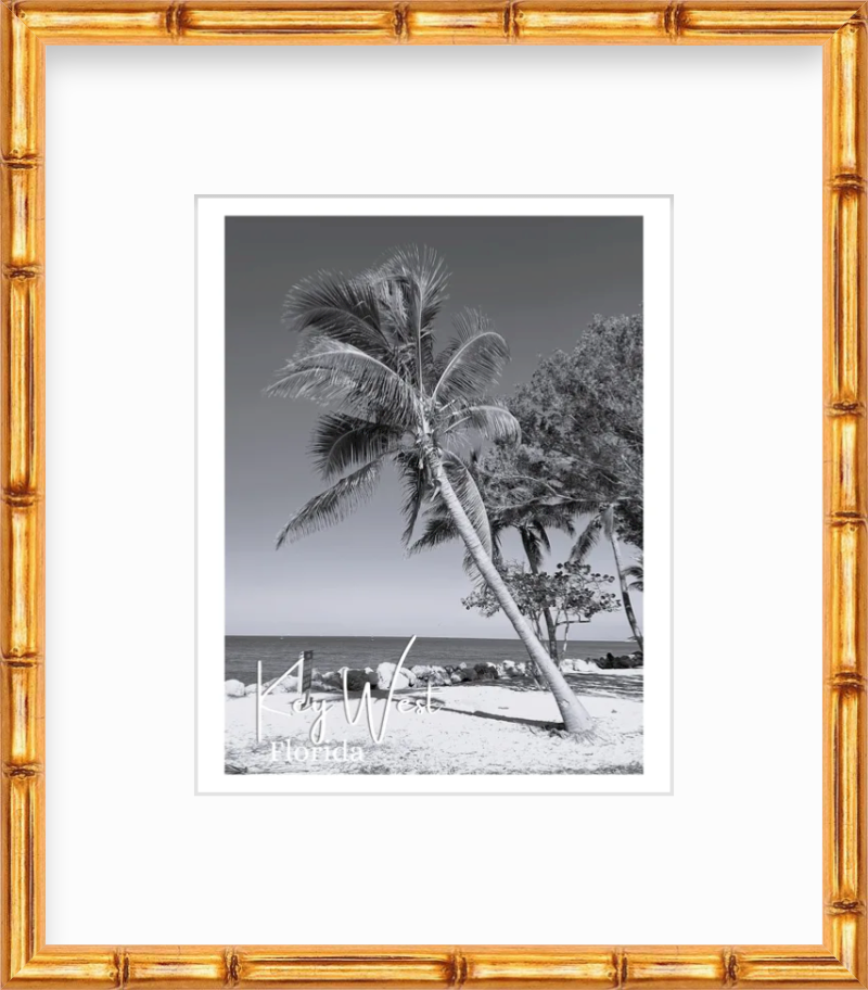 Florida Key West Fort Zachary Taylor State Park Palm Tree Views Giclee Travel Print