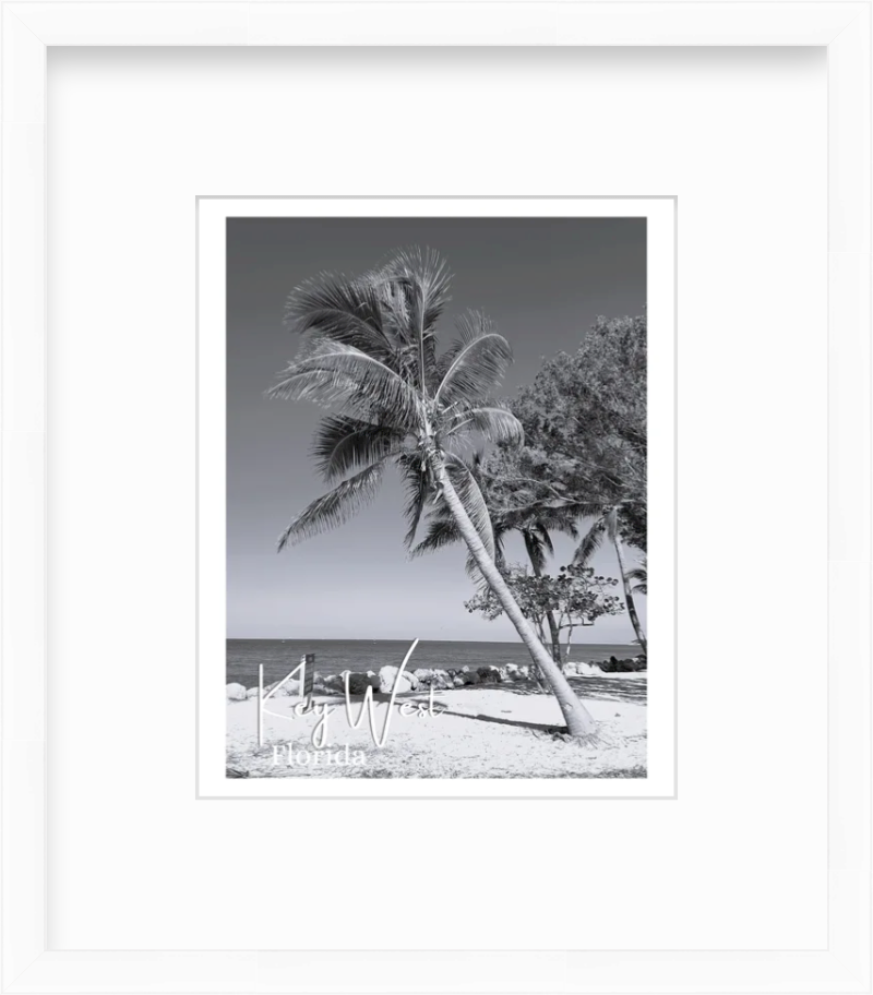 Florida Key West Fort Zachary Taylor State Park Palm Tree Views Giclee Travel Print