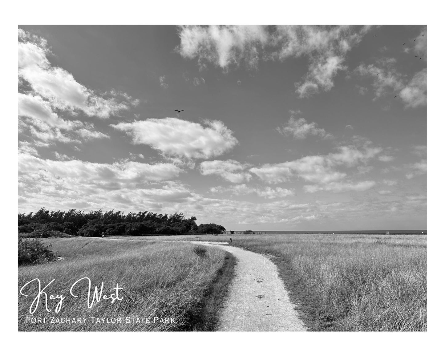 Florida Key West Fort Zachary Taylor State Park Path Giclee Travel Print