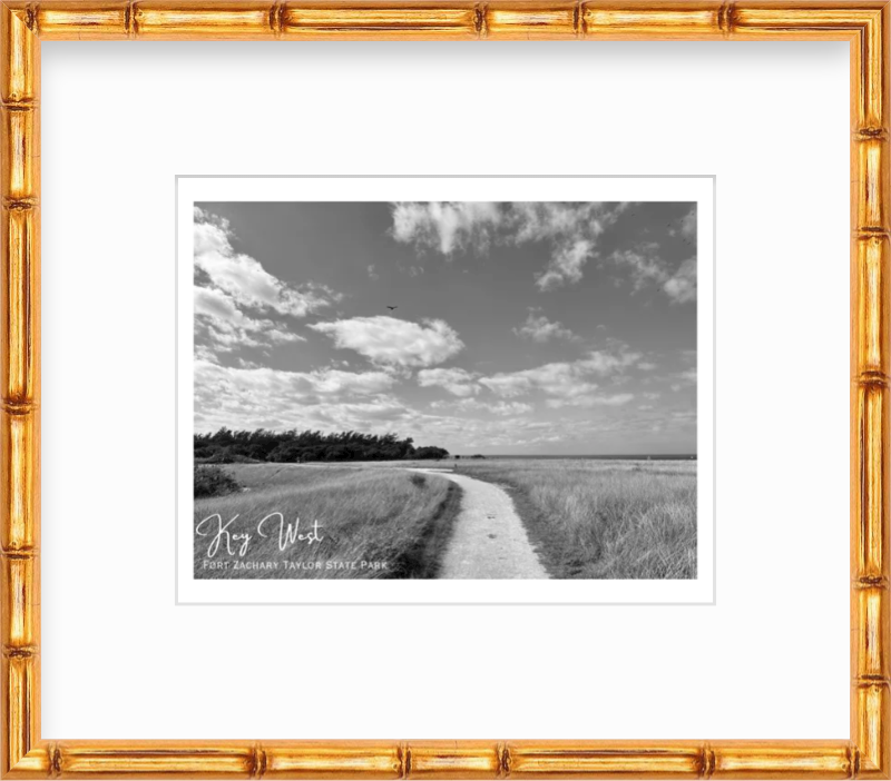 Florida Key West Fort Zachary Taylor State Park Path Giclee Travel Print
