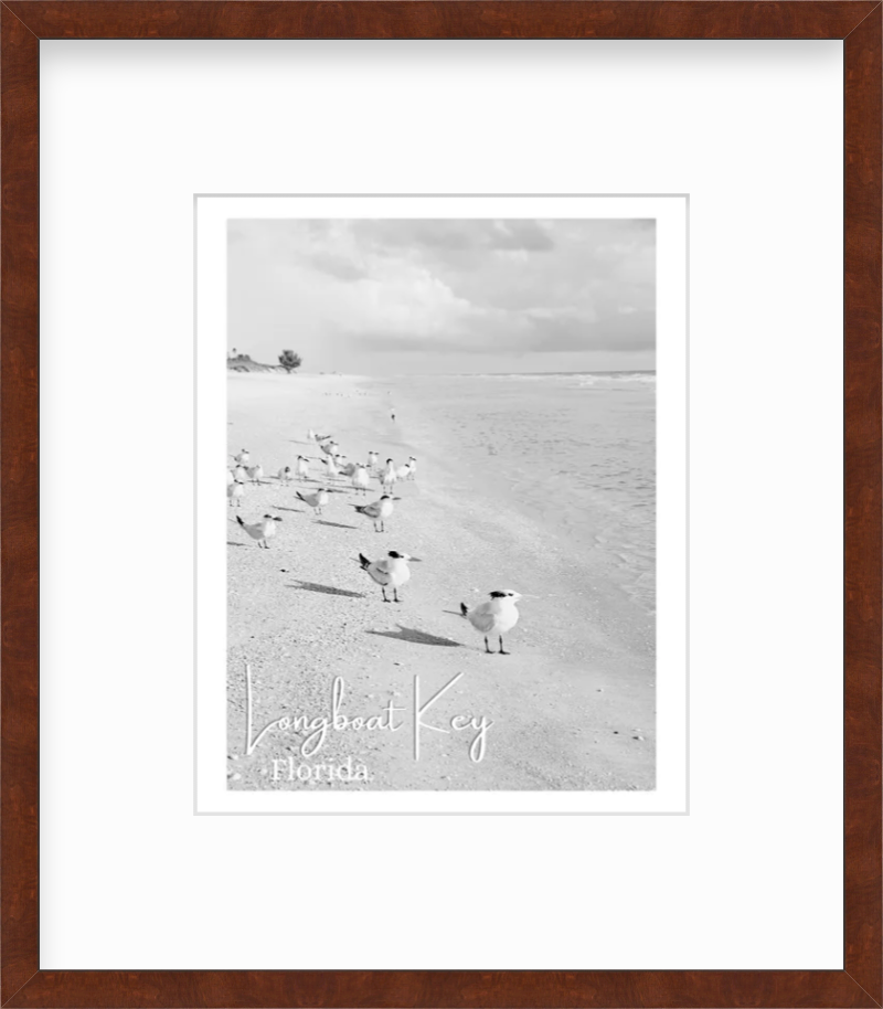 Florida Longboat Key Beach Shorebirds Giclee Travel Print