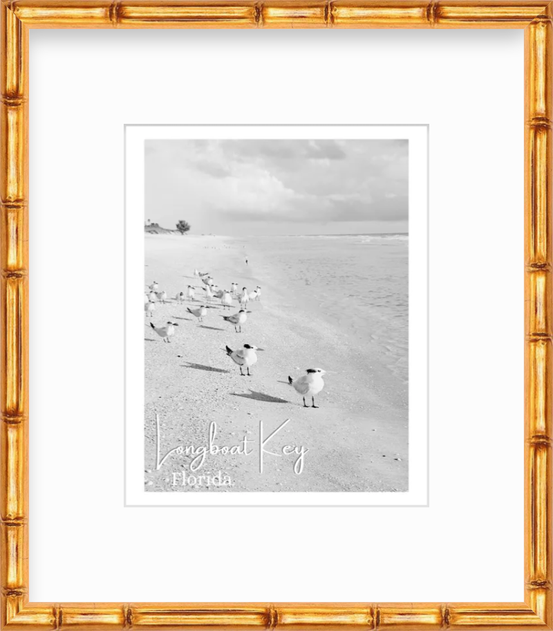 Florida Longboat Key Beach Shorebirds Giclee Travel Print