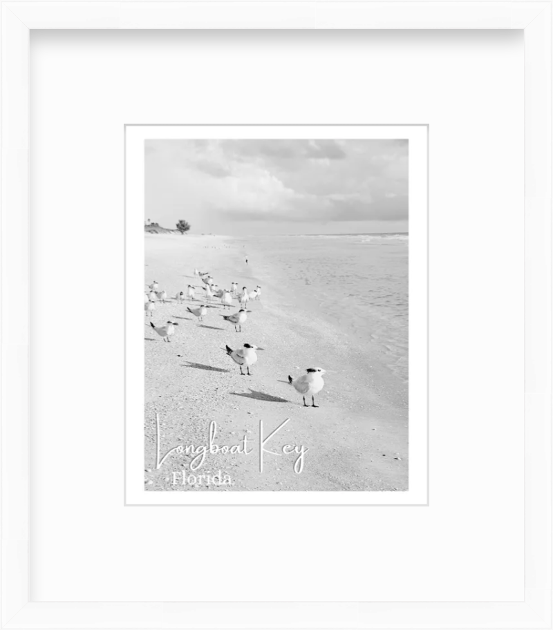 Florida Longboat Key Beach Shorebirds Giclee Travel Print