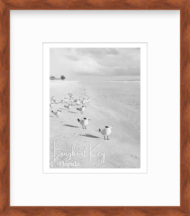 Florida Longboat Key Beach Shorebirds Giclee Travel Print