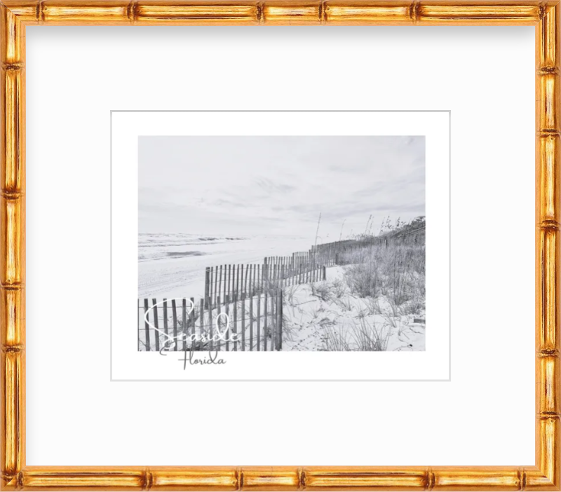 Florida Seaside Beach Fences Giclee Travel Print