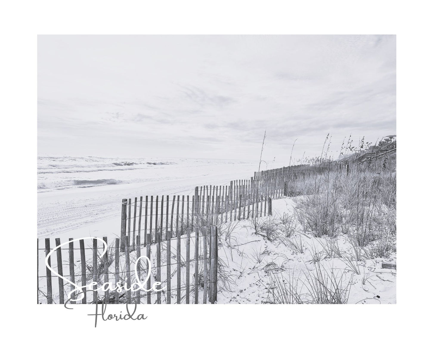 Florida Seaside Beach Fences Giclee Travel Print