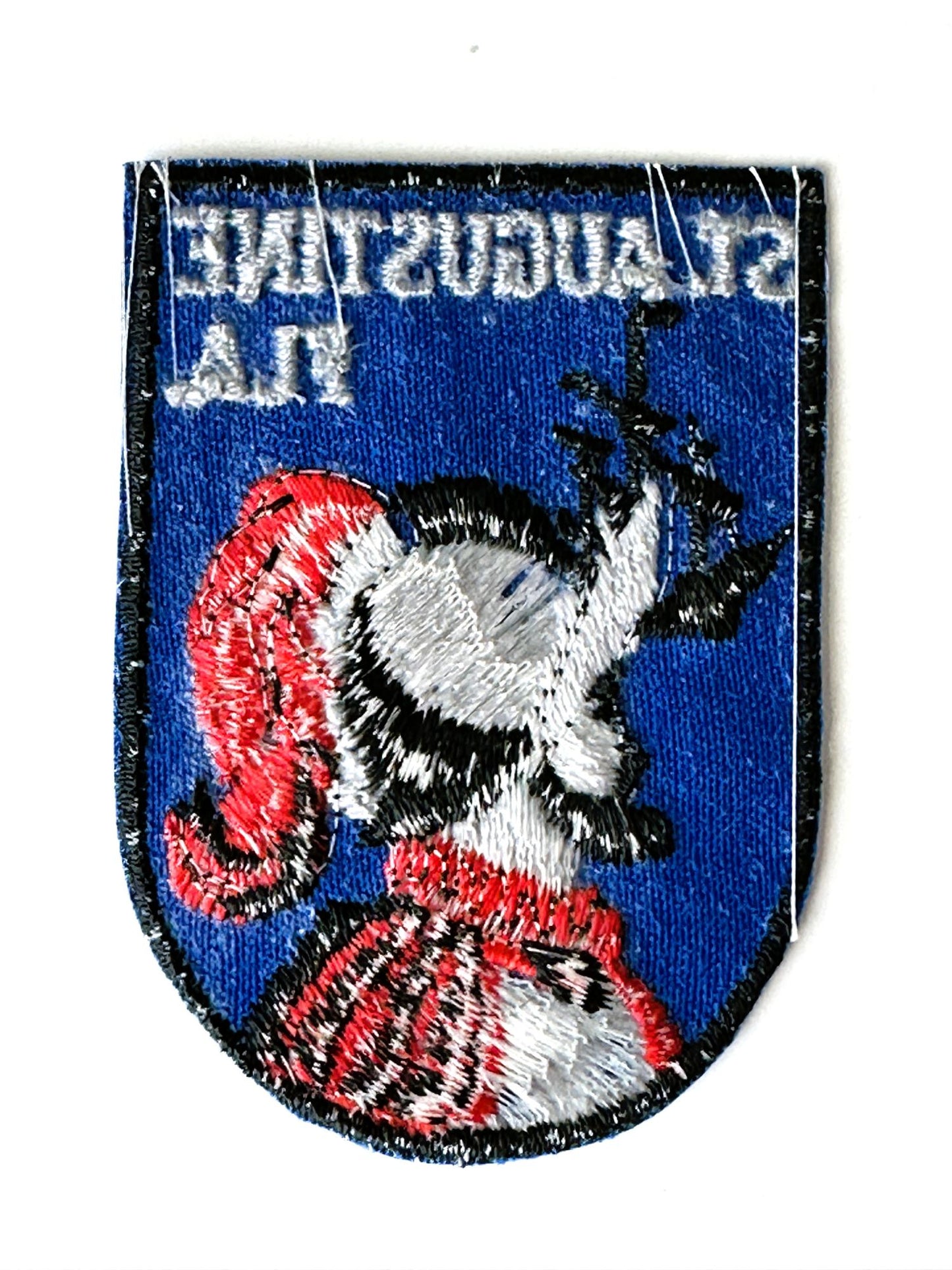 Florida St. Augustine Historic Vintage Patch