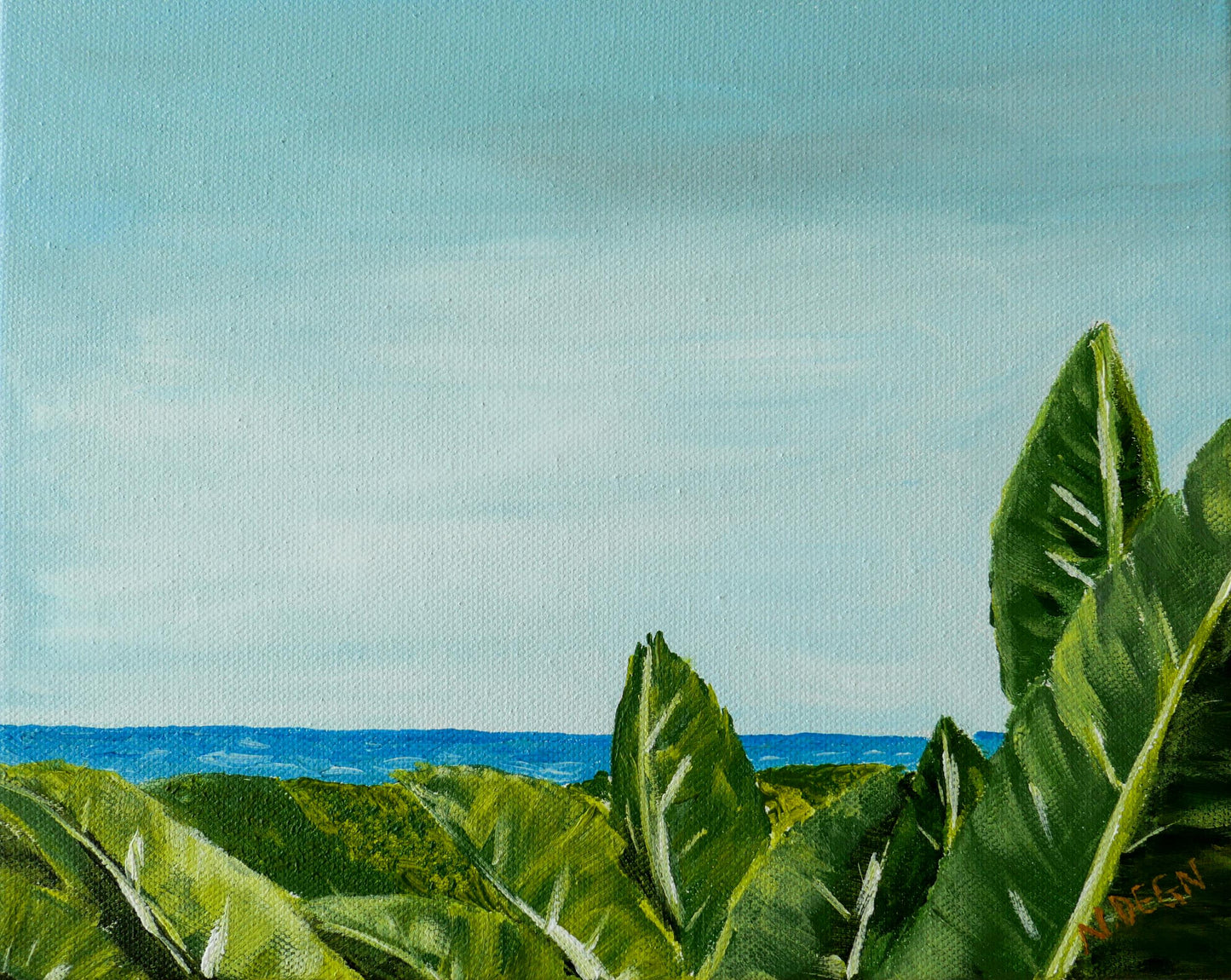 Florida Anna Maria Island Coastal View with Banana Plants Giclee Art Print