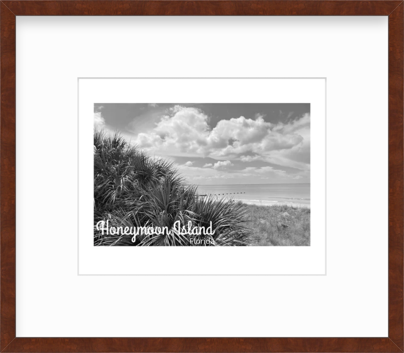 Florida Honeymoon Island State Park Giclee Travel Print