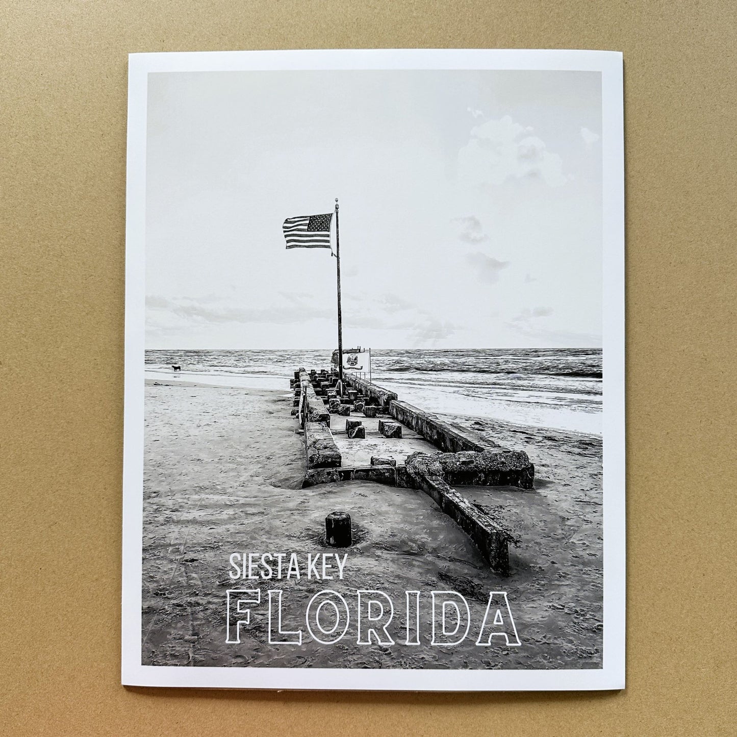 Florida Siesta Key Beach American Flags Giclee Travel Print