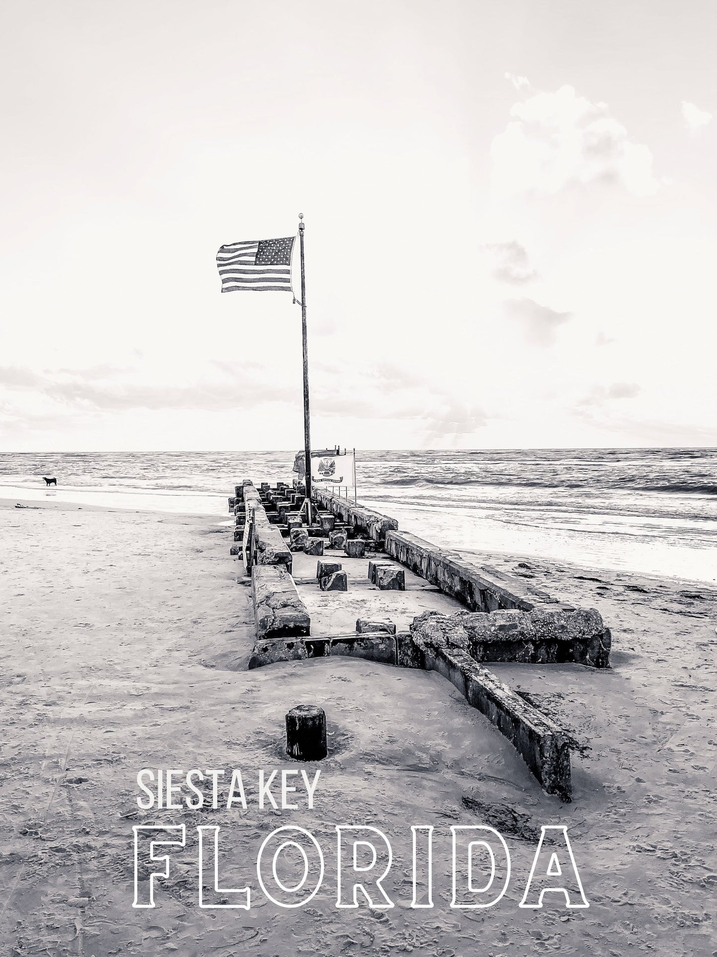 Florida Siesta Key Beach American Flags Giclee Travel Print