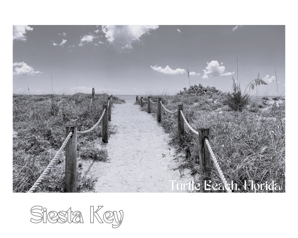 Florida Siesta Key at Turtle Beach Giclee Travel Print