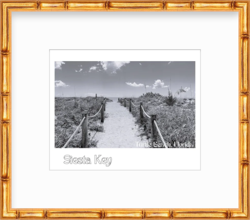 Florida Siesta Key at Turtle Beach Giclee Travel Print