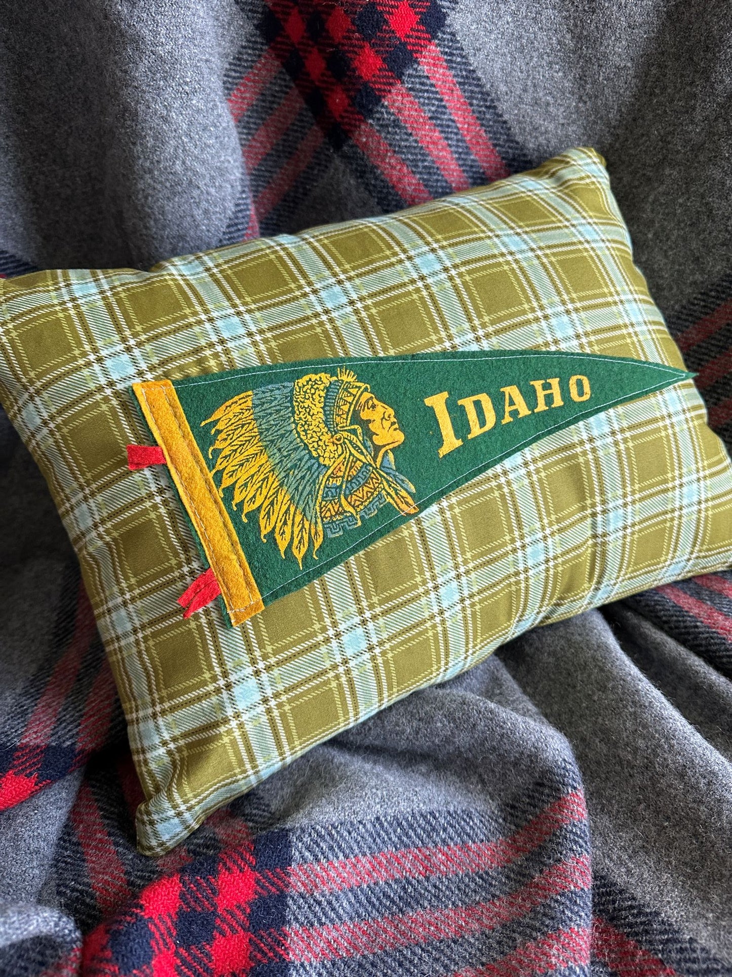 Idaho Native American Vintage Pennant on New Woven Plaid Throw Pillow