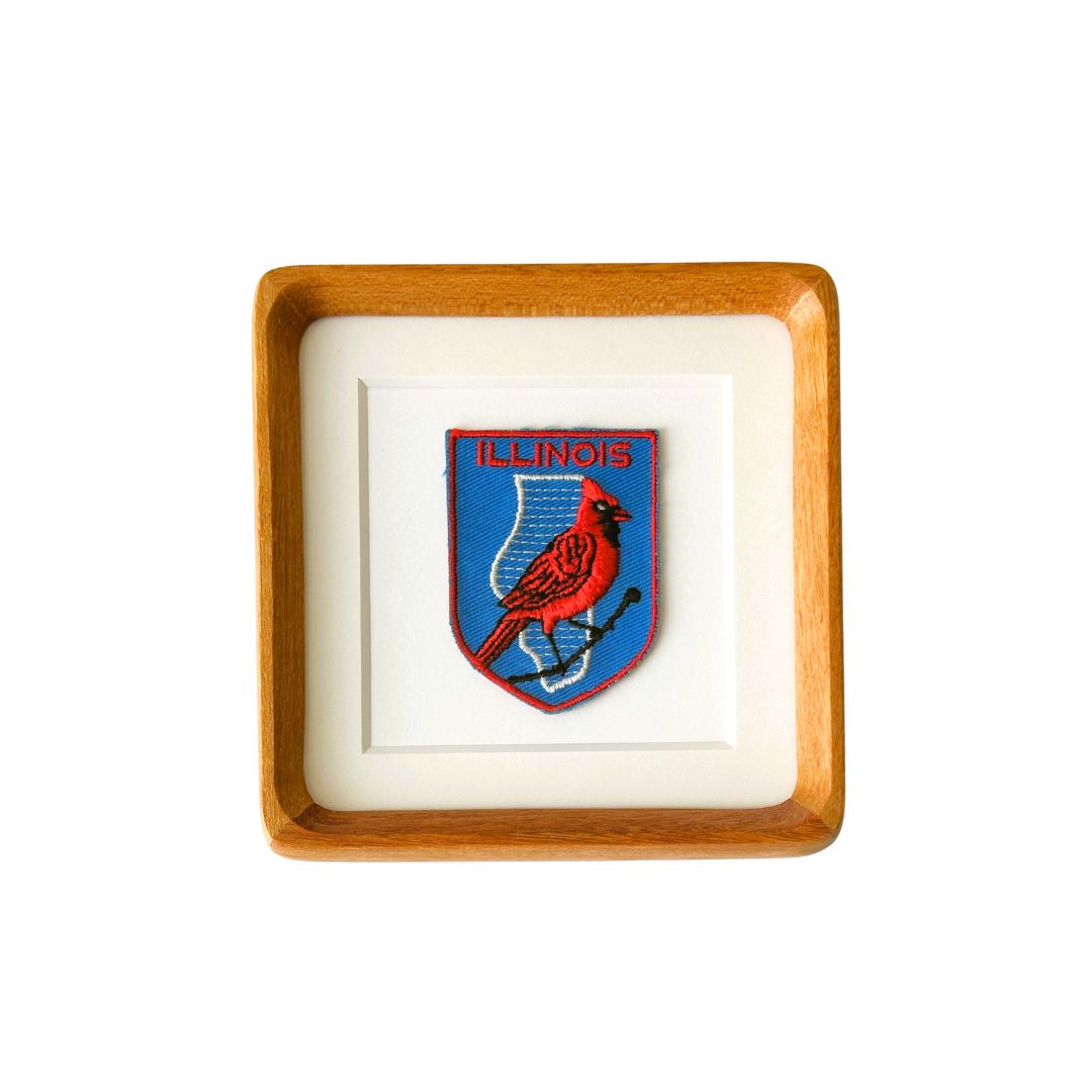 Illinois State Bird Vintage Framed Travel Patch