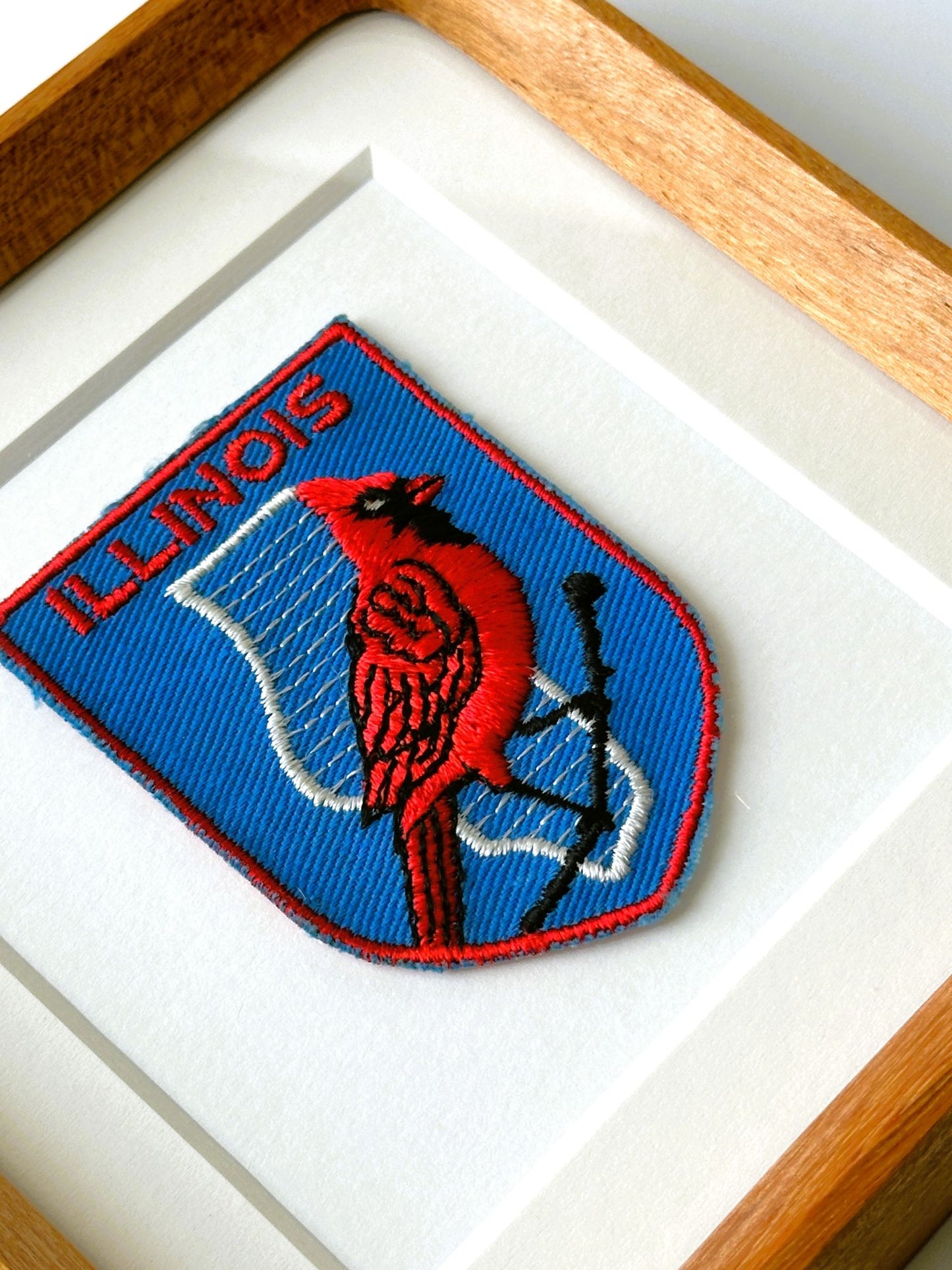 Illinois State Bird Vintage Framed Travel Patch