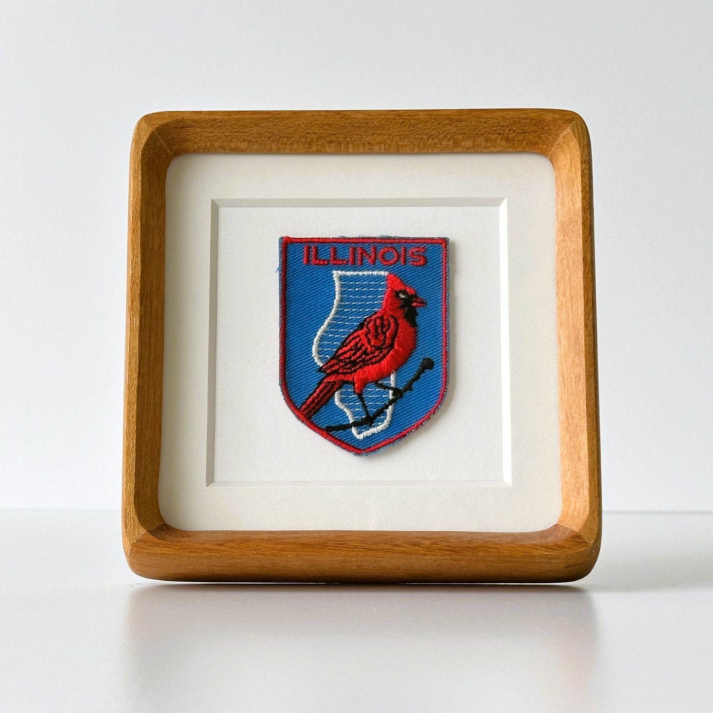 Illinois State Bird Vintage Framed Travel Patch