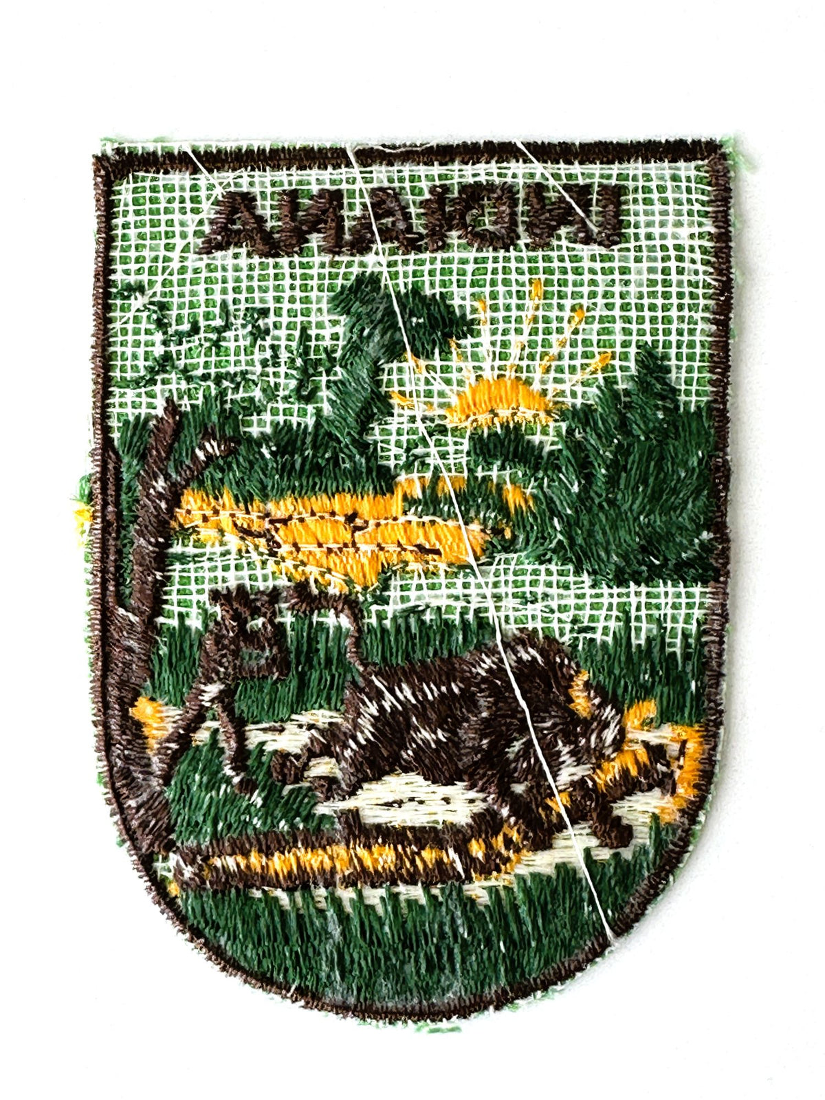 Indiana Country Scene Bison Vintage Patch