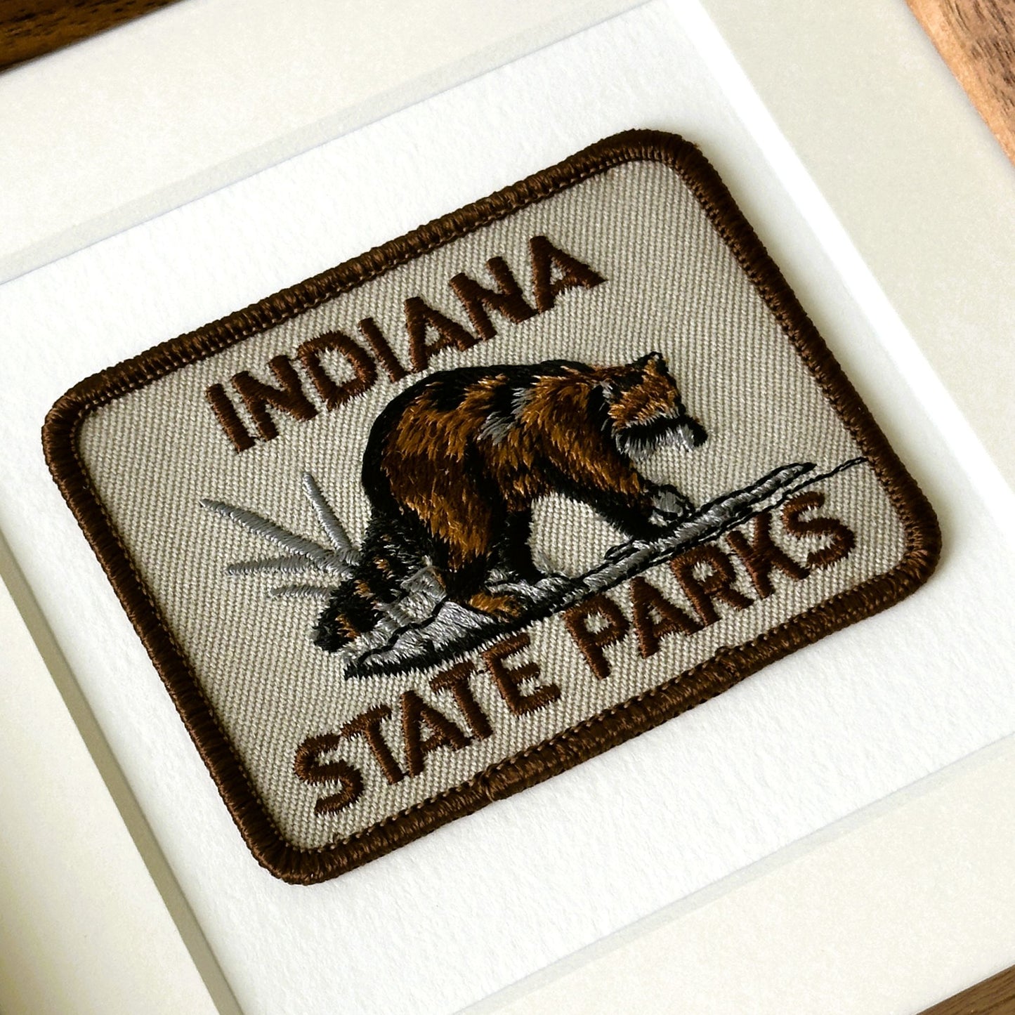 Indiana State Parks Raccoon Framed Travel Patch