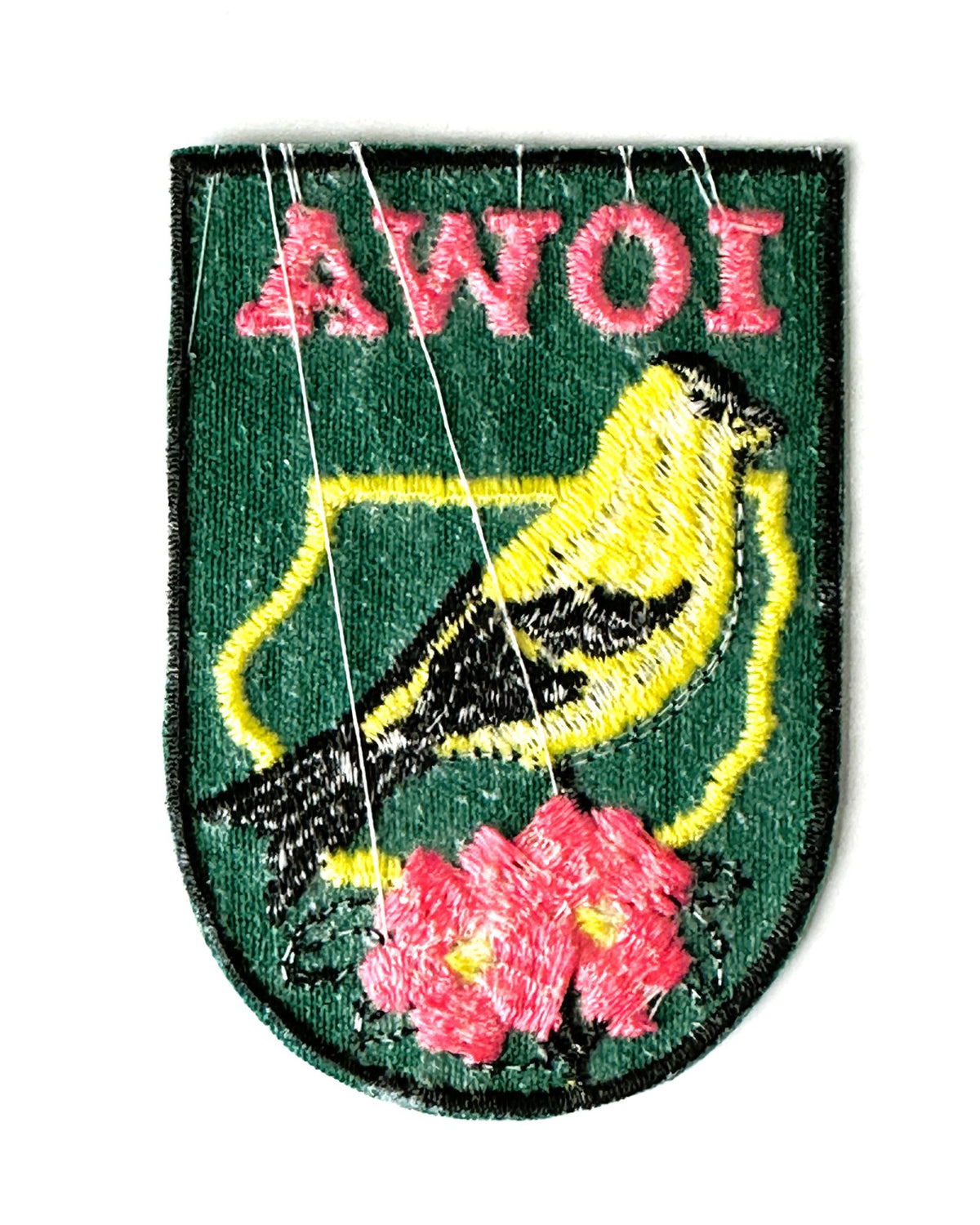 Iowa State Bird and Flowers Vintage Travel Patch