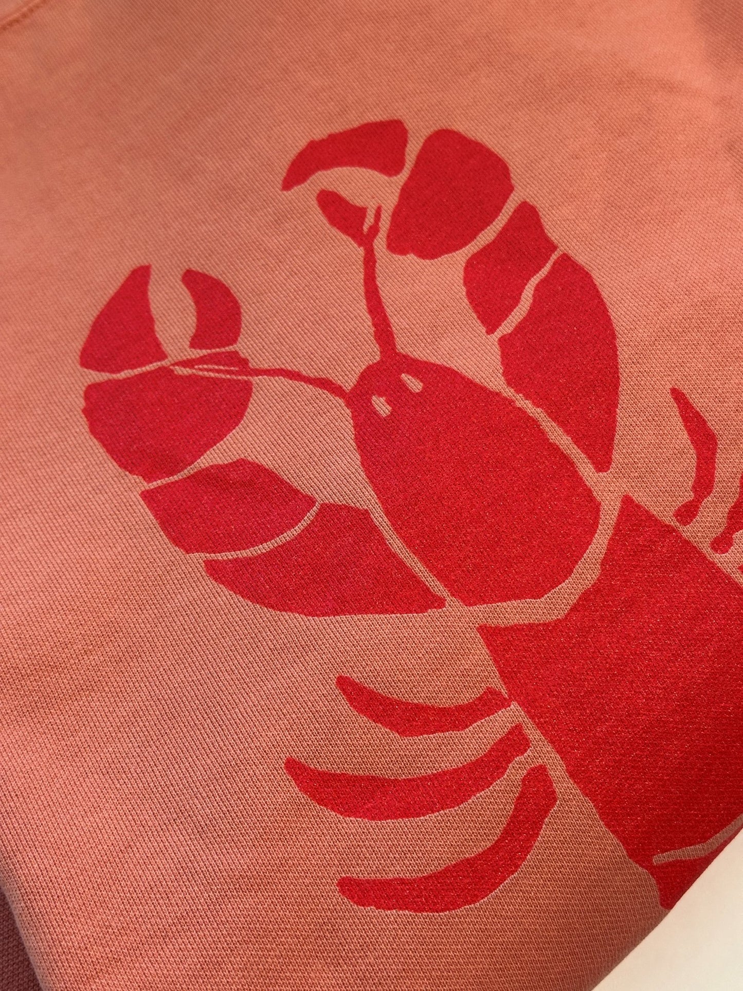 Lobster Adult Unisex Sweatshirt in Terracotta with Red Lobster