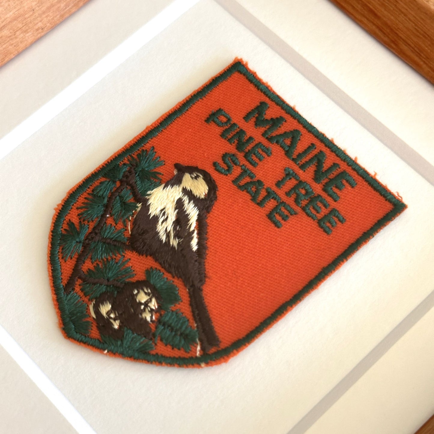 Maine Pine Tree State Framed Vintage Travel Patch