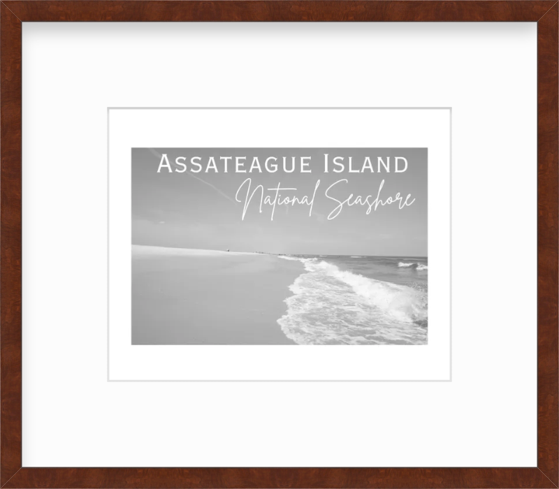 Maryland Assateague National Seashore Giclee Travel Print