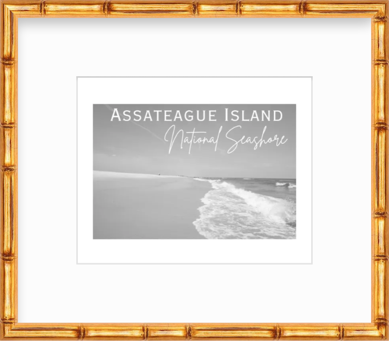 Maryland Assateague National Seashore Giclee Travel Print