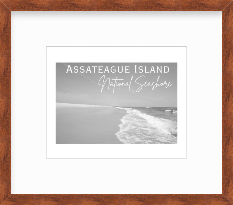 Maryland Assateague National Seashore Giclee Travel Print