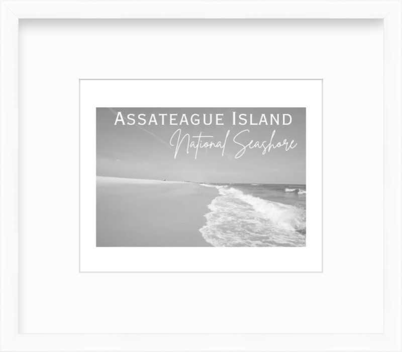 Maryland Assateague National Seashore Giclee Travel Print