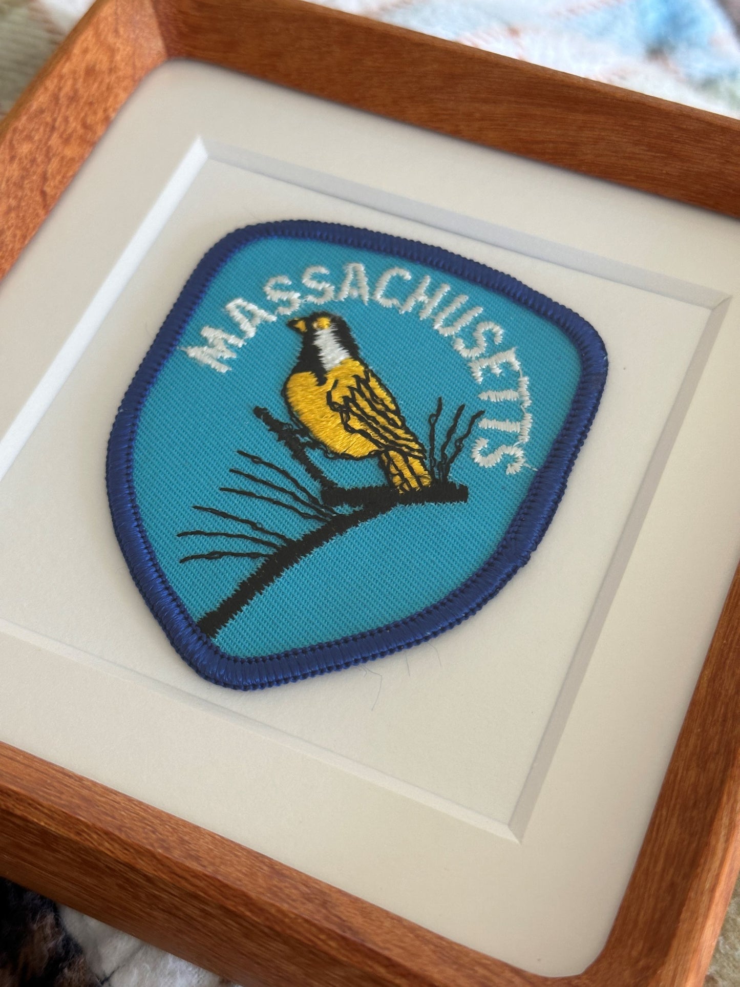 Massachusetts Bird Framed Vintage Travel Patch