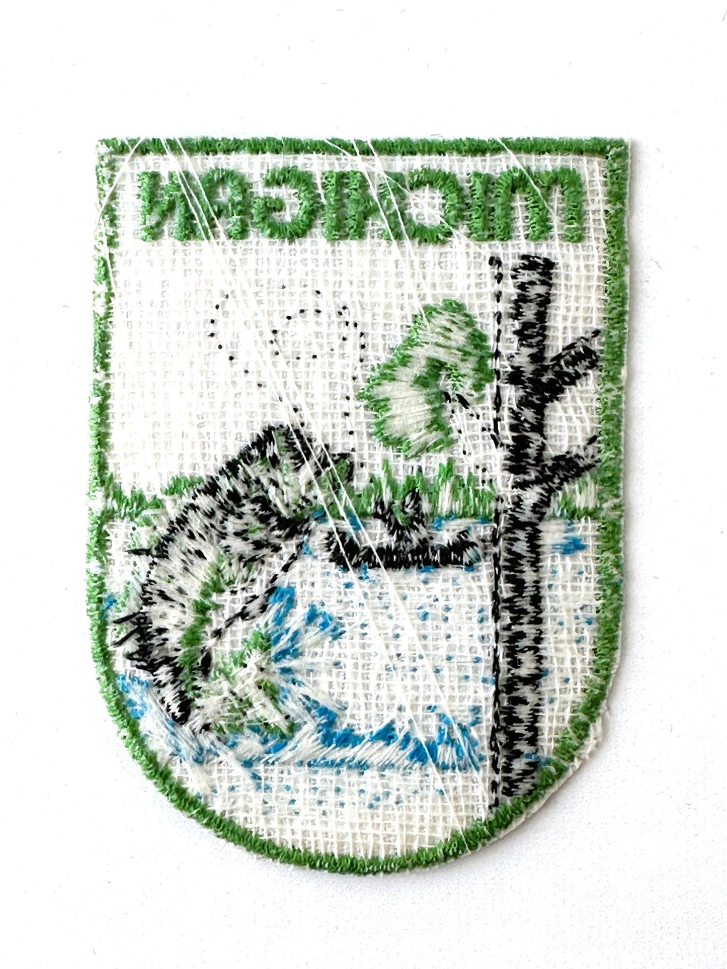 Michigan Fishing Vintage Patch